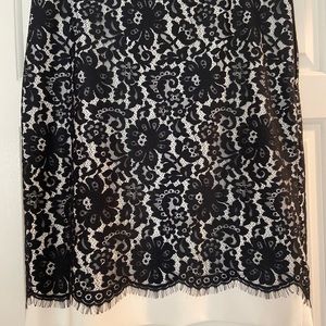 The Limited Skirts | The Limited Scandal Collection